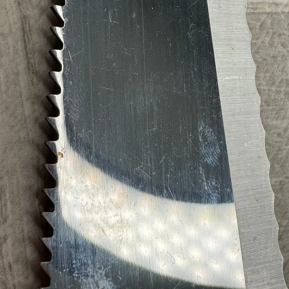 Vernco Stainless Steel Cake Pie Server Japan Wood Handle Serrated Scalloped Edge